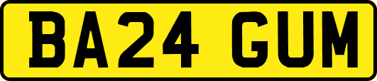 BA24GUM