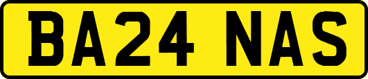 BA24NAS