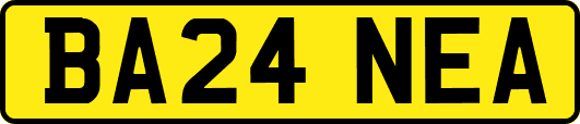 BA24NEA