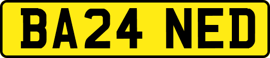 BA24NED