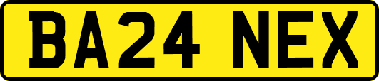 BA24NEX