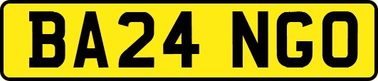 BA24NGO