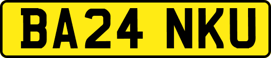BA24NKU