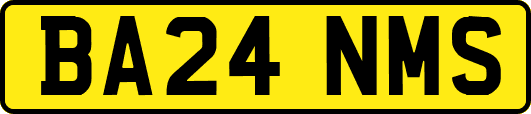 BA24NMS