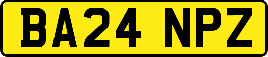 BA24NPZ