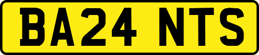 BA24NTS