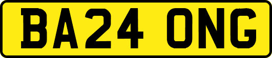 BA24ONG