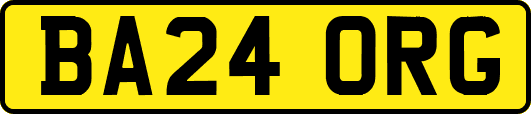BA24ORG