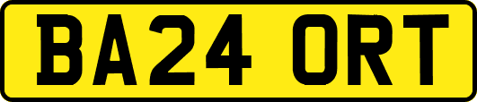 BA24ORT