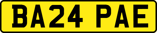 BA24PAE