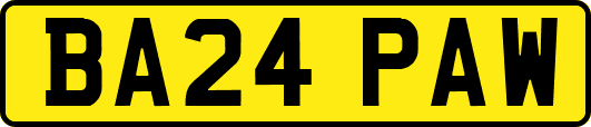 BA24PAW