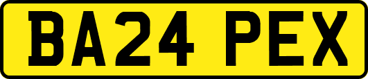 BA24PEX