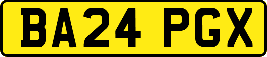 BA24PGX