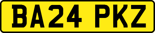 BA24PKZ