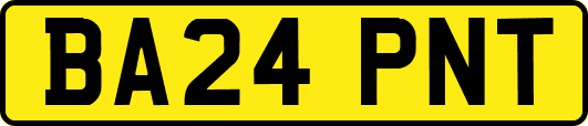 BA24PNT
