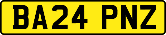 BA24PNZ