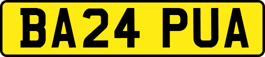 BA24PUA
