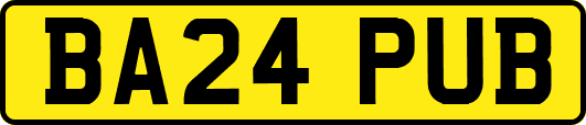 BA24PUB