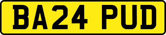 BA24PUD