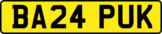 BA24PUK