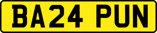 BA24PUN