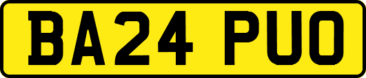 BA24PUO
