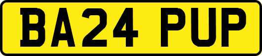 BA24PUP
