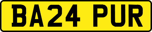 BA24PUR