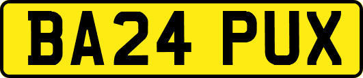 BA24PUX