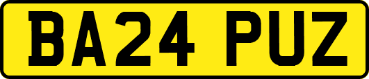 BA24PUZ
