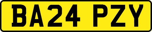 BA24PZY