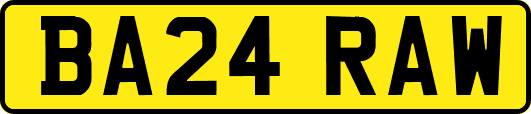 BA24RAW