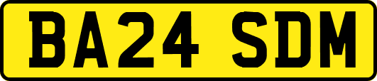 BA24SDM