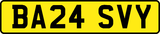 BA24SVY