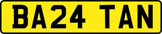 BA24TAN