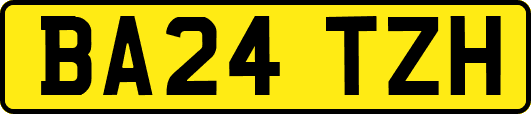 BA24TZH