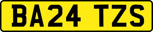 BA24TZS