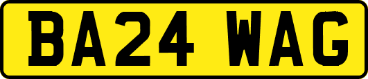 BA24WAG