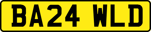 BA24WLD