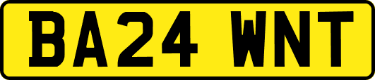 BA24WNT