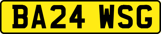 BA24WSG