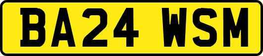 BA24WSM