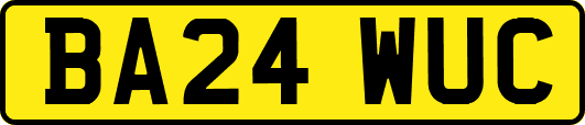 BA24WUC
