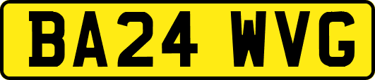 BA24WVG
