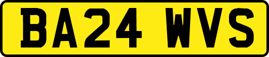 BA24WVS