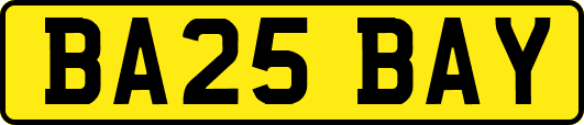BA25BAY