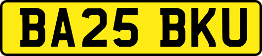 BA25BKU