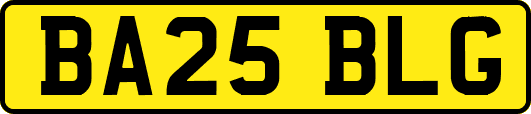 BA25BLG