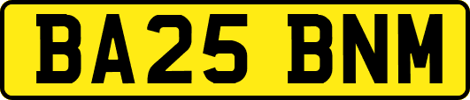 BA25BNM