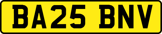 BA25BNV